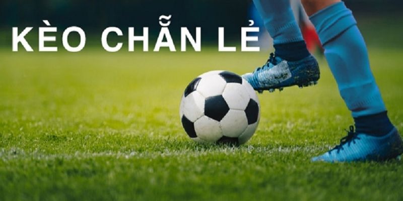 Cách bắt kèo chẵn lẻ hay nhất cho tân binh