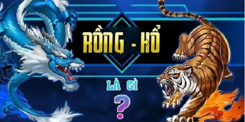 Đôi nét về cược Rồng Hổ